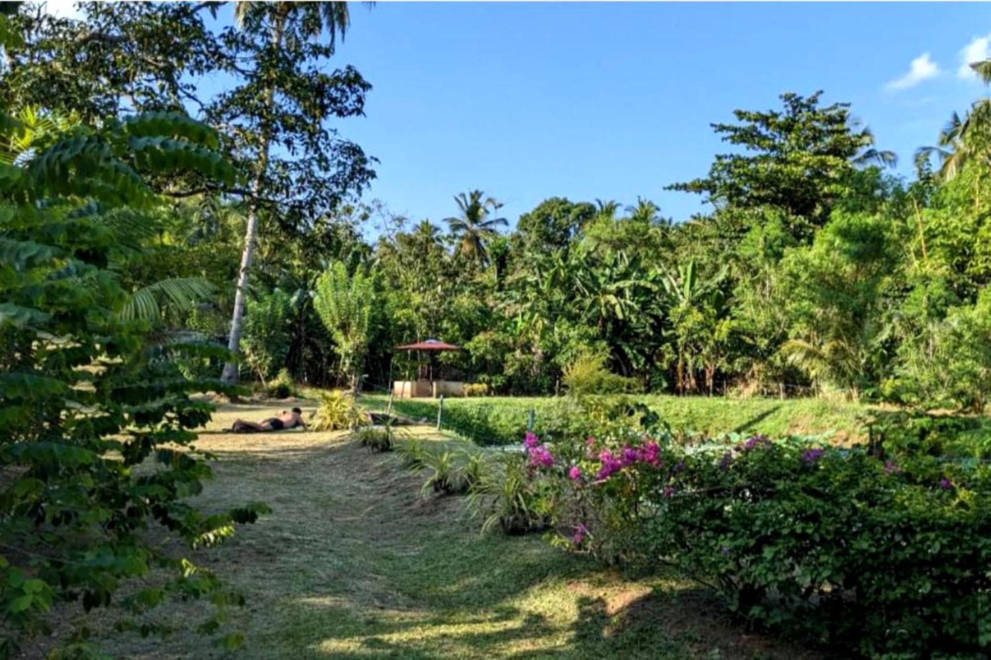 Green View Safari Paradise Udawalawe Exterior photo